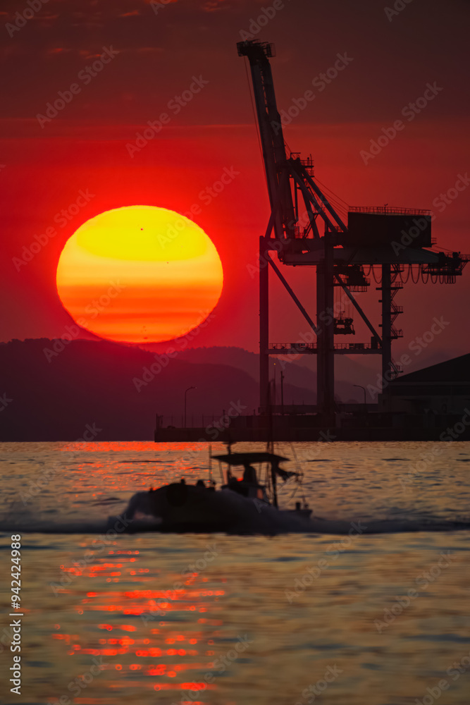 Obraz premium 眠らないキリンと日の出20240818-7