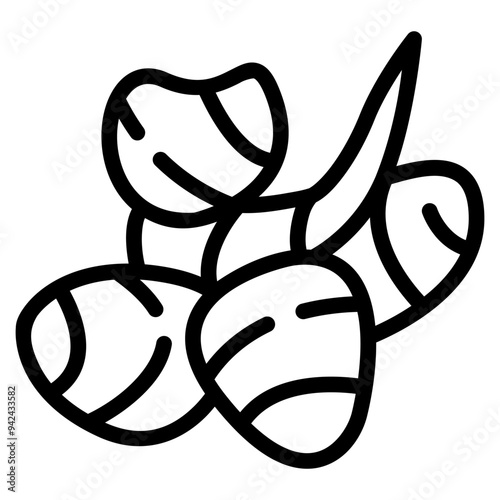 aromatic ginger icon with outline style. Suitable for website design, logo, app and UI. Based on the size of the icon in general, so it can be reduced.
