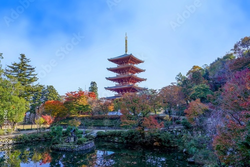 青空バックに見るちょうど見ごろの紅葉に囲まれた五重塔の情景