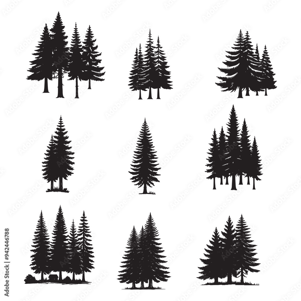 Obraz premium set of pine trees silhouettes on white 