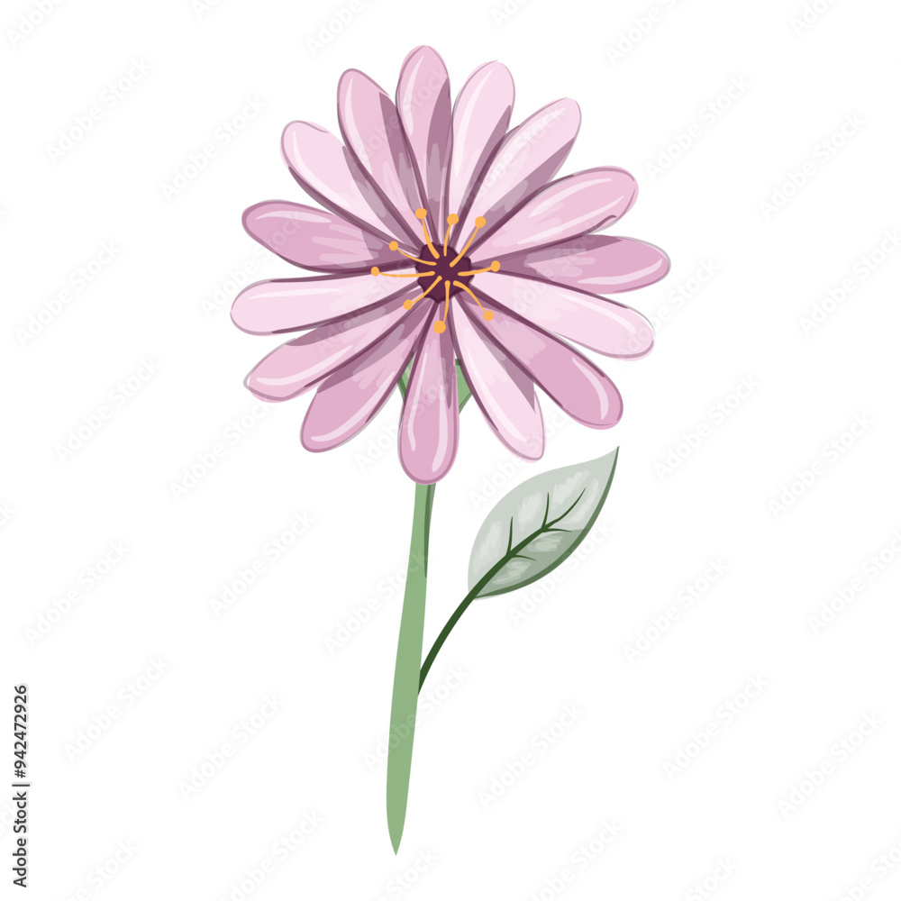 Watercolor Flower and Leaf Illustration Watercolor Flower and Leaf Illustration