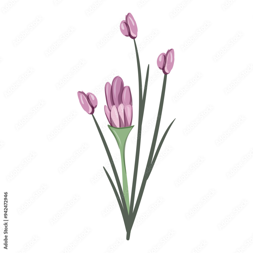 Watercolor Flower and Leaf Illustration Watercolor Flower and Leaf Illustration
