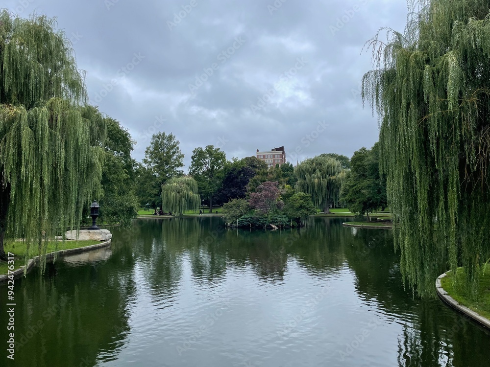 Obraz premium river in the park