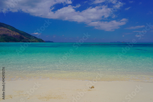 beach with trees