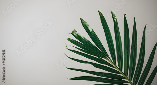 Green leaf pattern for graphic use