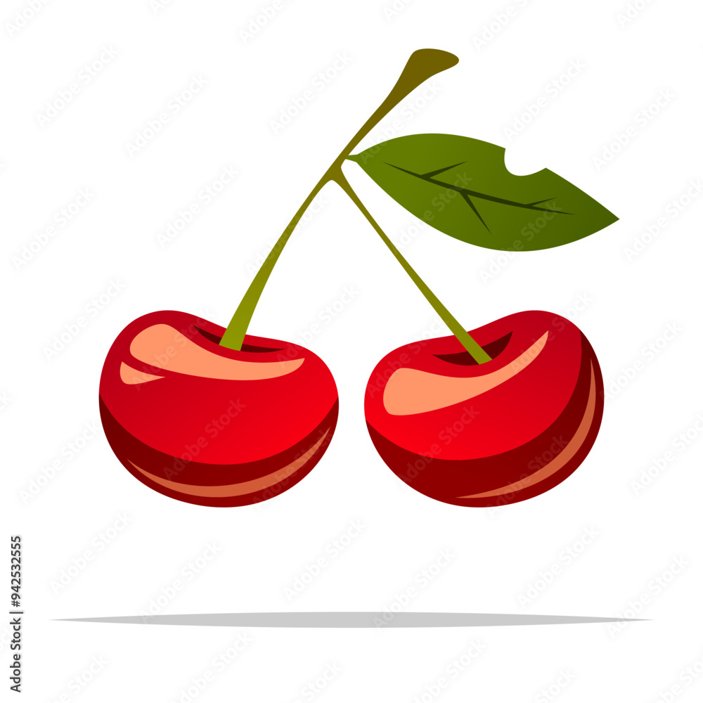 Red cherry fruit vector isolated illustration Red cherry fruit vector isolated illustration