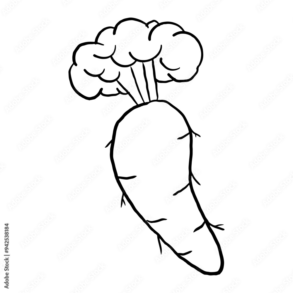 Carrot Outline doodle suitable for restaurant or vegetable supermarket illustrations, icons, packaging designs, and other product needs related to processed vegetable foods Carrot Outline doodle suitable for restaurant or vegetable supermarket illustrations, icons, packaging designs, and other product needs related to processed vegetable foods
