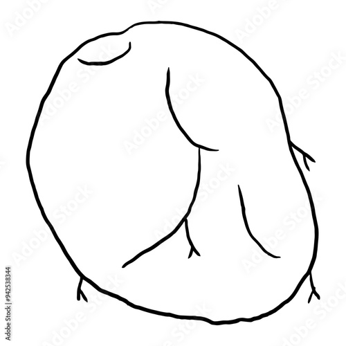 Potato Outline  doodle suitable for restaurant or vegetable supermarket illustrations, icons, packaging designs, and other product needs related to processed vegetable foods