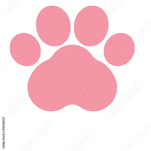 Cat paws 猫の肉球