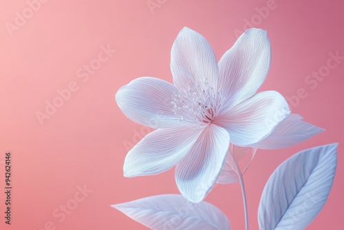 Elegant White Flower on a Soft Pink Background with Delicate Petals and Leaves