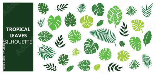 Tropical leaves set
