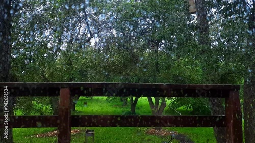 raindrops dripping down the window pane. light rain. apple trees in the orchard. a sad mood