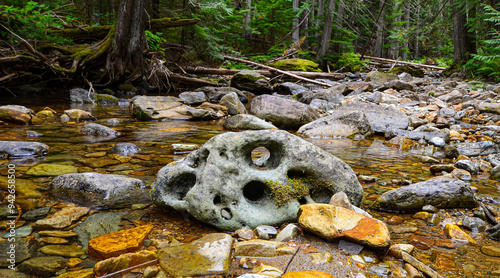 skull on the rocks