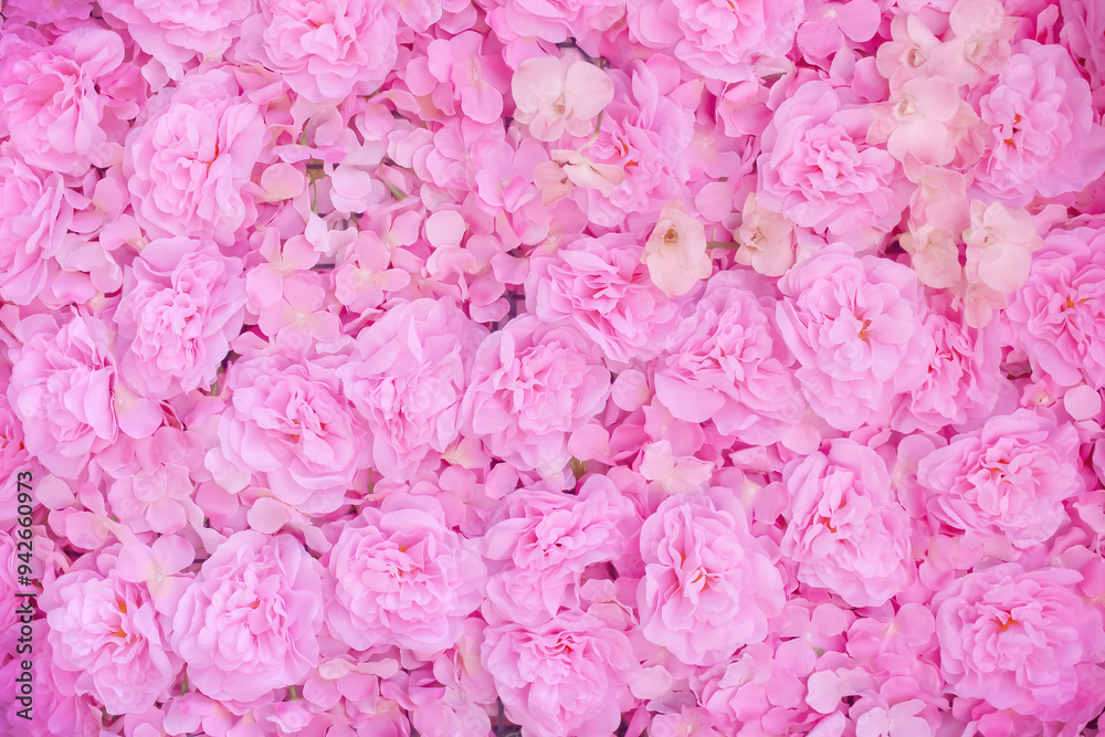 Fototapeta premium Artificial light pink carnation floral fabric background on wall beautiful background