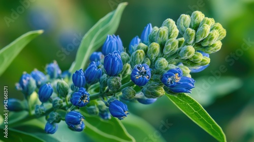 Blue woad flowers blooming. Generative AI photo