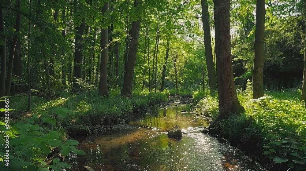 Serene forest landscape with a babbling brook, offering a calming natural setting. Serene forest landscape with a babbling brook, offering a calming natural setting.