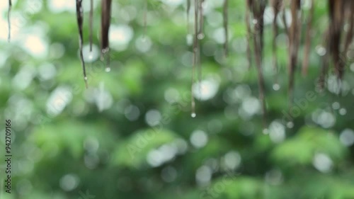 Rain drops down from the grass