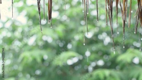 Rain drops down from the grass
