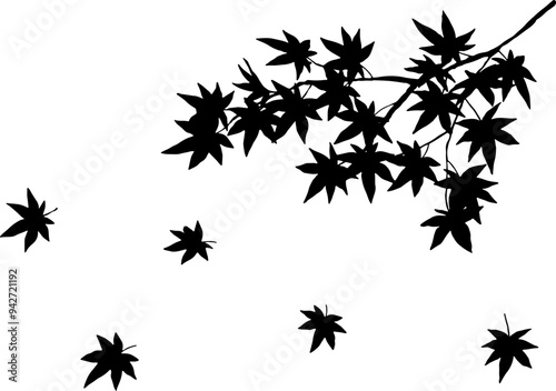 舞い落ちる紅葉のシルエット