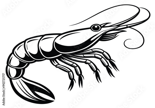 Shrimp vector illustration prawn