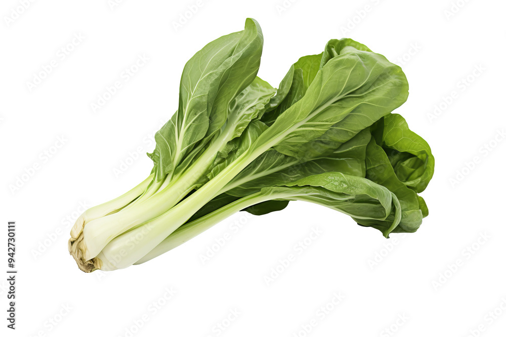 Fresh organic Bok choy isolated on transparent background for culinary creations, health-conscious designs, and Asian-inspired recipes Fresh organic Bok choy isolated on transparent background for culinary creations, health-conscious designs, and Asian-inspired recipes
