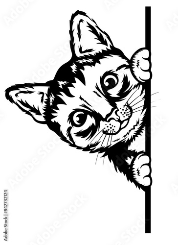 Cute Cat | Domestic Animal | Fur Baby | Peeking Cat | Peeking a Boo | Curious Cat | Cat Head | Cute Cat Face | Original Illustration | Vector and Clipart | Cutfile and Stencil