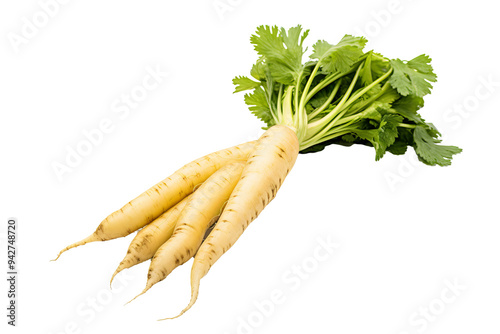 Horseradish root with fresh leaves isolated on transparent background for culinary designs and health-focused projects featuring organic and natural ingredients