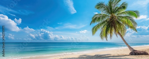 A serene beach scene featuring a palm tree and calm blue waters under a clear sky, perfect for relaxation and vacation themes.