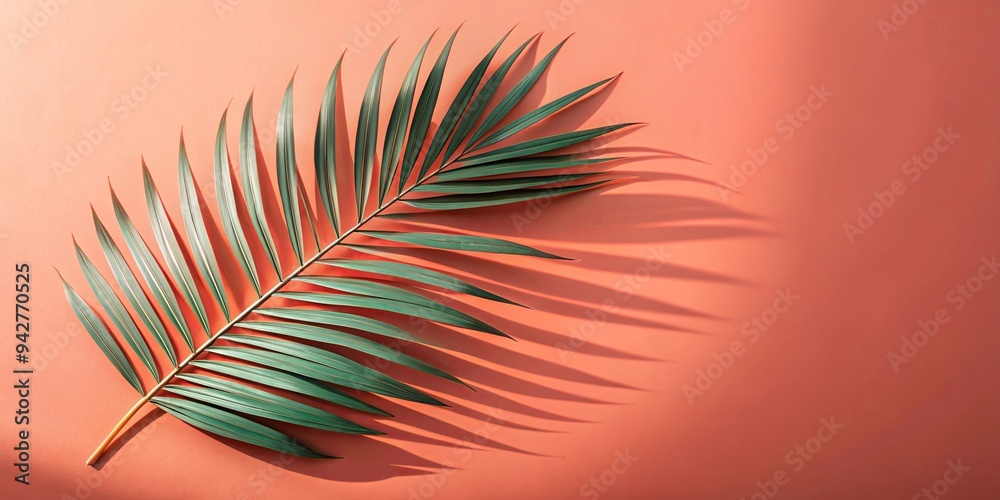 Palm leaf shadow cast on coral background creating a tropical minimalist nature scene Palm leaf shadow cast on coral background creating a tropical minimalist nature scene