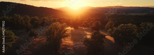 Sunset Over a Forested Valley with Trees Silhouetted Against the Golden Light