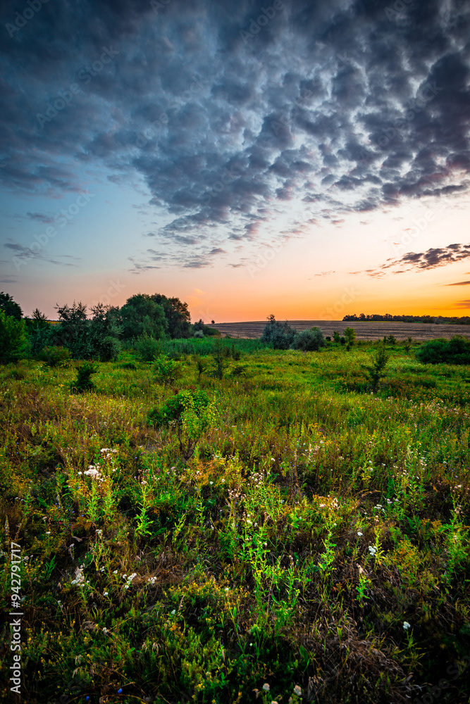 Summer sunrise in the forest . Woodlands at summer . Landscape with beautiful forest and trees , purple sky , sunrise in the sky . Green woods , morning forest . Mystery landscape . Wild nature Summer sunrise in the forest . Woodlands at summer . Landscape with beautiful forest and trees , purple sky , sunrise in the sky . Green woods , morning forest . Mystery landscape . Wild nature