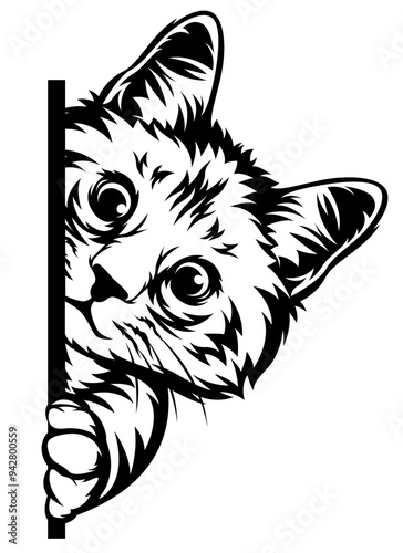 Peeking Cat | Cat | Kitten | Peeking Animal | Domestic Animal | Curios Cat | Cute Cat Face | Cat Lover | Original Illustration | Vector and Clipart | Cutfile and Stencil