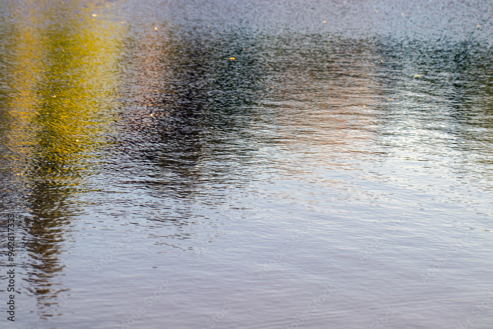 Fototapeta premium Lakeside water reflections trees.