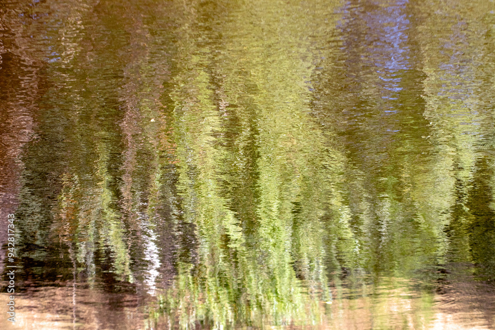Lakeside water reflections trees. Lakeside water reflections trees.