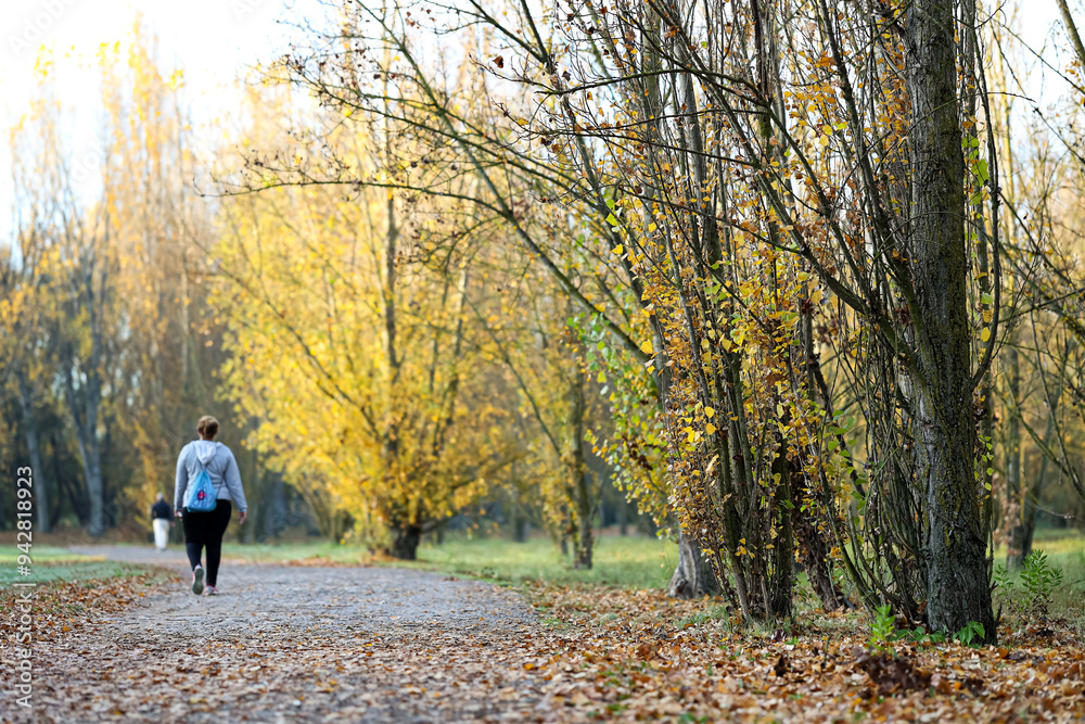 Young woman walking in autumn forest Young woman walking in autumn forest
