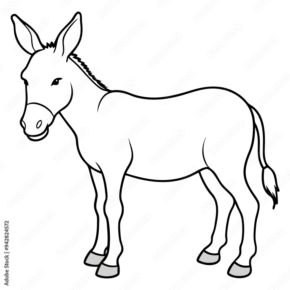 Fototapeta premium donkey isolated on white