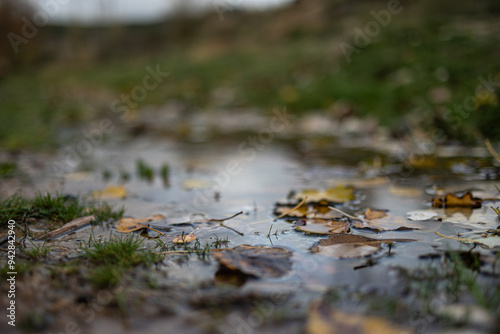 Fall leaves in park, autumn natural background