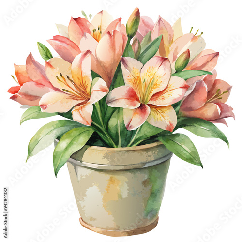 bouquet of flowers