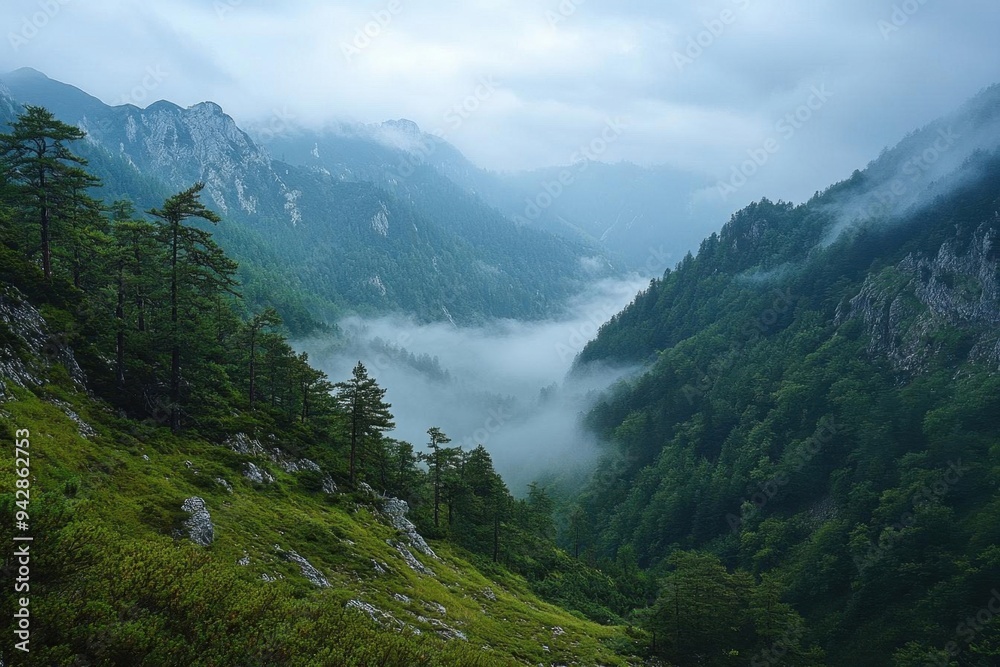 Obraz premium Fog rolling through a mountain pass, foggy weather, mysterious and silent