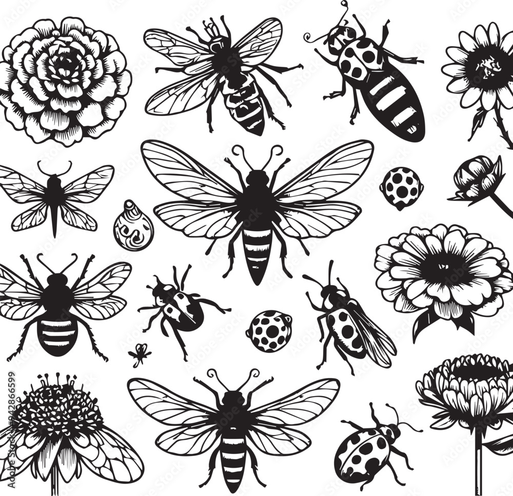Free vector insects vector set Free vector insects vector set
