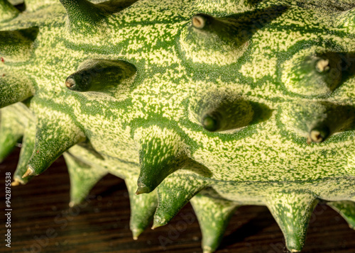 Close-up view of Kiwano fruit, Cucumis metuliferus, commonly called African Horned Cucumber, autumn photo