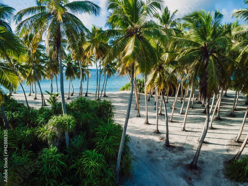 Coconut trees at holiday tropical island with blue sea. Drone view