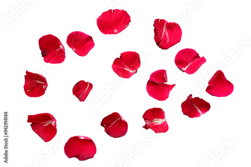 Red Rose petals. Set of red flower petals. simple red petals collection.