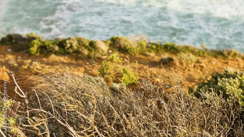 Coastal Cliffside with Ocean Waves Coastal Cliffside with Ocean Waves