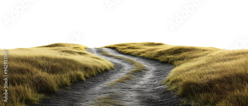 Road through grassfield border landscape grassland outdoors isolated against transparent background. Natural concept photo