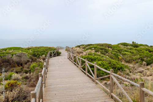 A wooden walkway winds through lush coastal vegetation, directing attention towards the calm sea. The overcast sky adds a serene atmosphere.