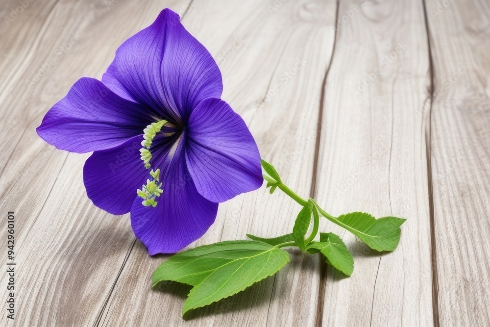 Monkshood flower over a wooden background with a copy space Monkshood flower over a wooden background with a copy space