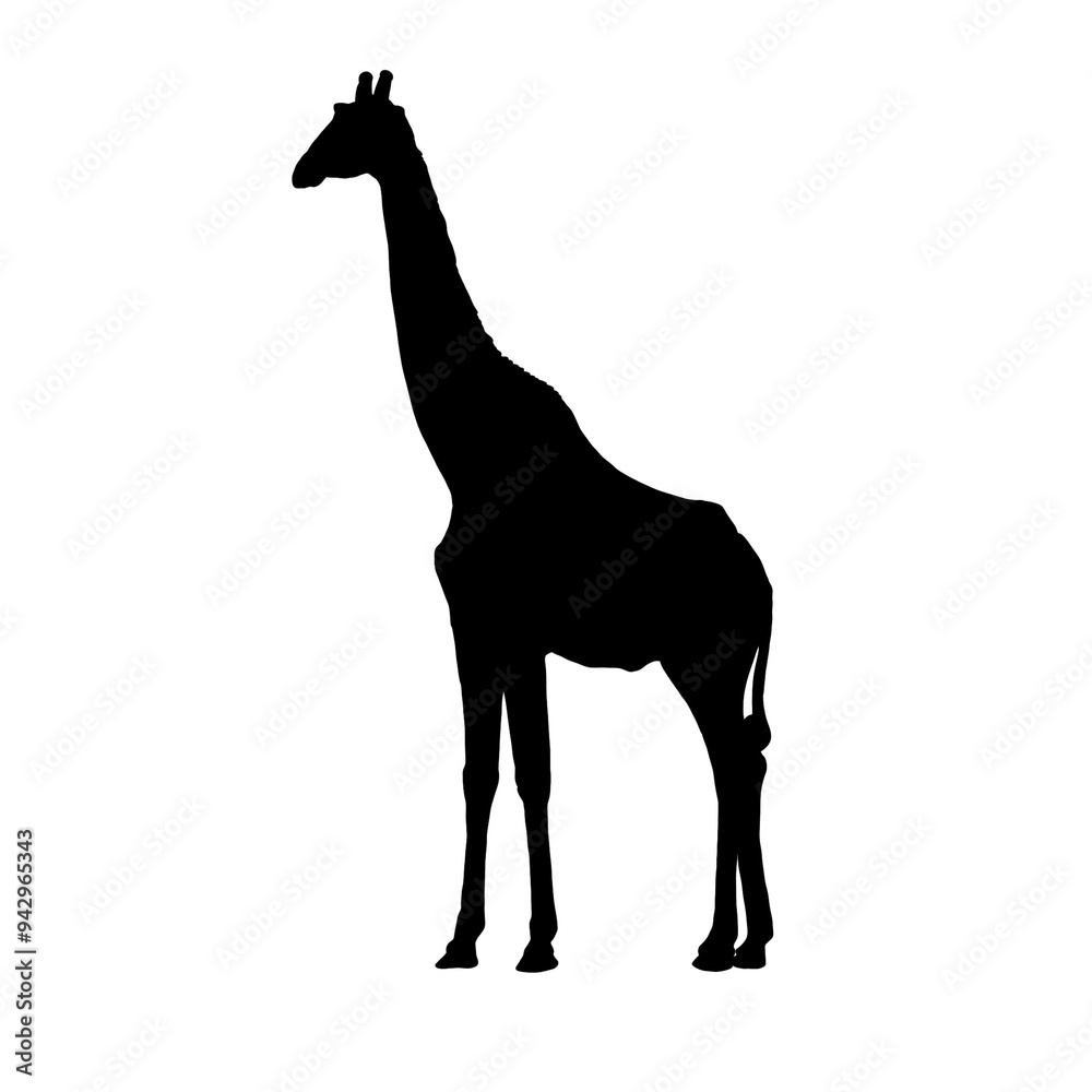 Obraz premium giraffe black silhouette illustration