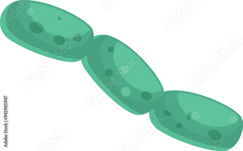 Illustration of green streptococcus bacteria forming a chain through cell division