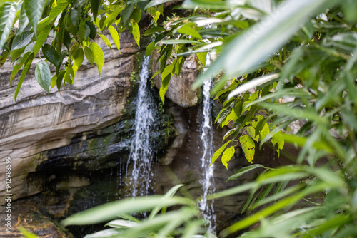 Tranquil Waterfall Hidden in Greenery